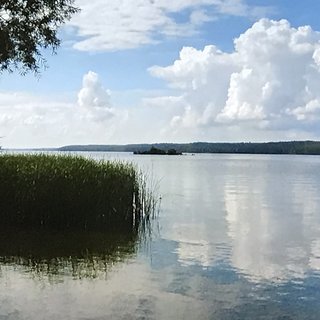 Tollensesee, ist ein See südlich von der Innenstadt Neubrandenburg in Mecklenburg Vorpommern