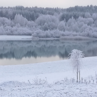 Langweid See im Winter. Das Bild zeigt eine verschneite Landschaft in deren Mitte der silberblaue See ruht. Die eingeschneiten Bäume am Ufer spiegeln sich auf der Oberfläche des Sees.