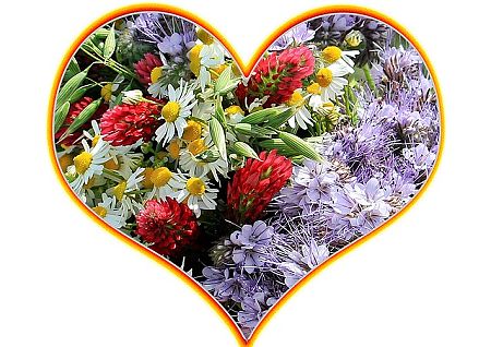 Foto: bunter Blumenstrauß im Herzformat