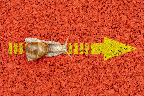 Symbolfoto für Langsamkeit: eine Schnecke kriecht über einen gelben Pfeil, der auf einem roten Gummiplatzboden aufgemalt ist.