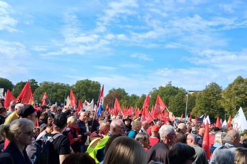 Demo-Teilnehmenden in der Menge in Hannover