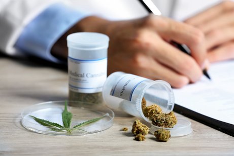 Ein Arzt schreibt etwas auf einen Block. Neben ihm auf dem Schreibtisch sind kleine Beh&auml;lter mit medizinischem Cannabis in Form von Cannabisbl&uuml;ten.