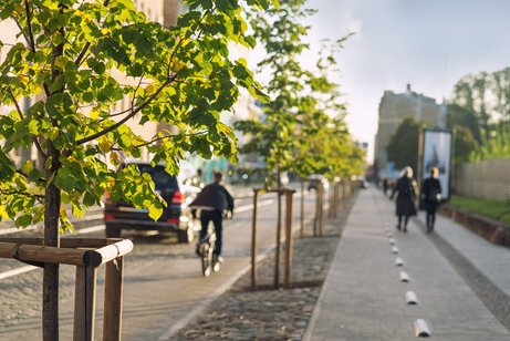 Blick auf eine Stra&szlig;e, ges&auml;umt von B&auml;umen, links f&auml;hrt ein Radfahrer, rechts zwei Fu&szlig;g&auml;nger.