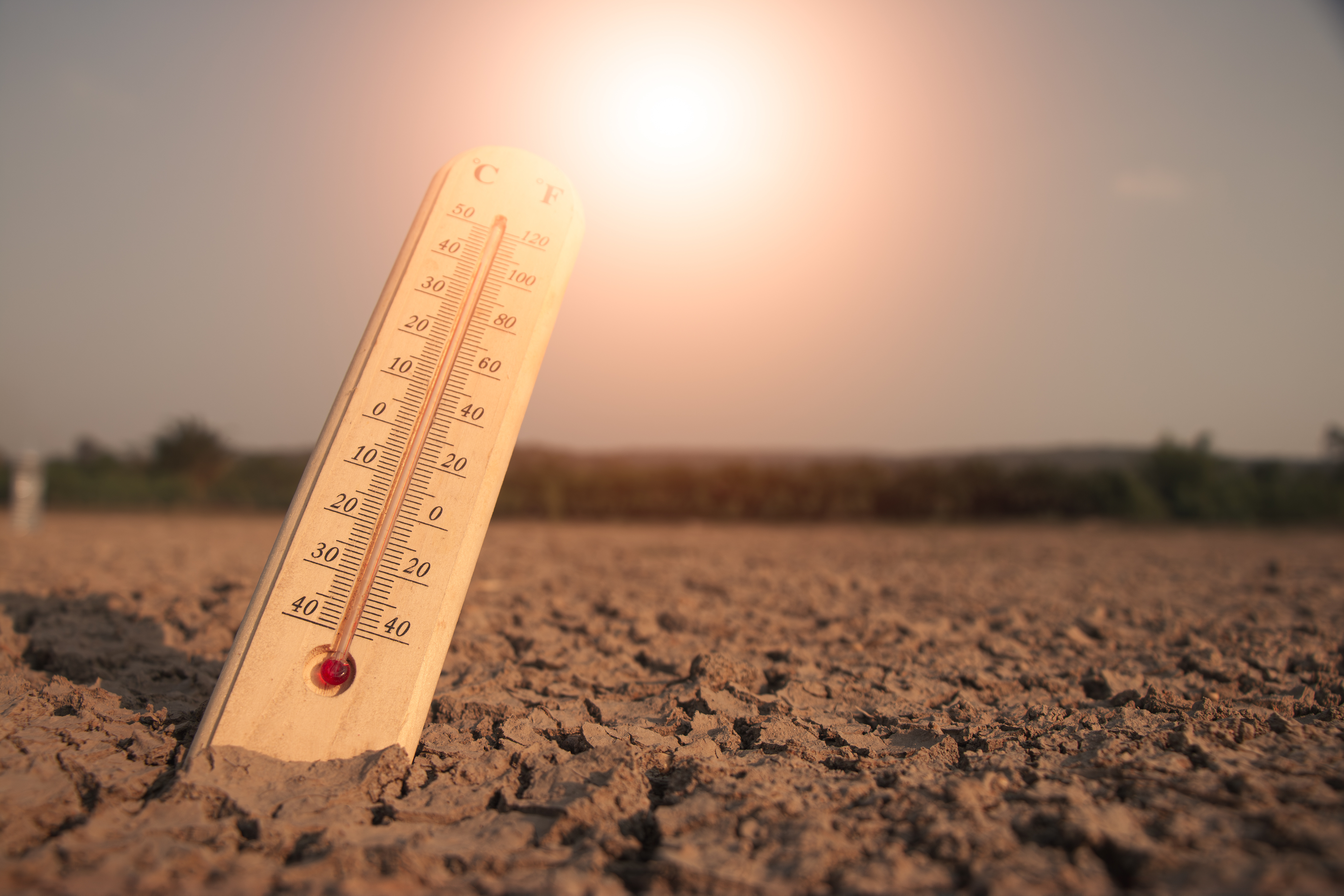Ein Thermometer steckt im ausged&ouml;rrtem, rissigen Erdboden einer Landschaft. Dar&uuml;ber knallt die Sonne vom Himmel.