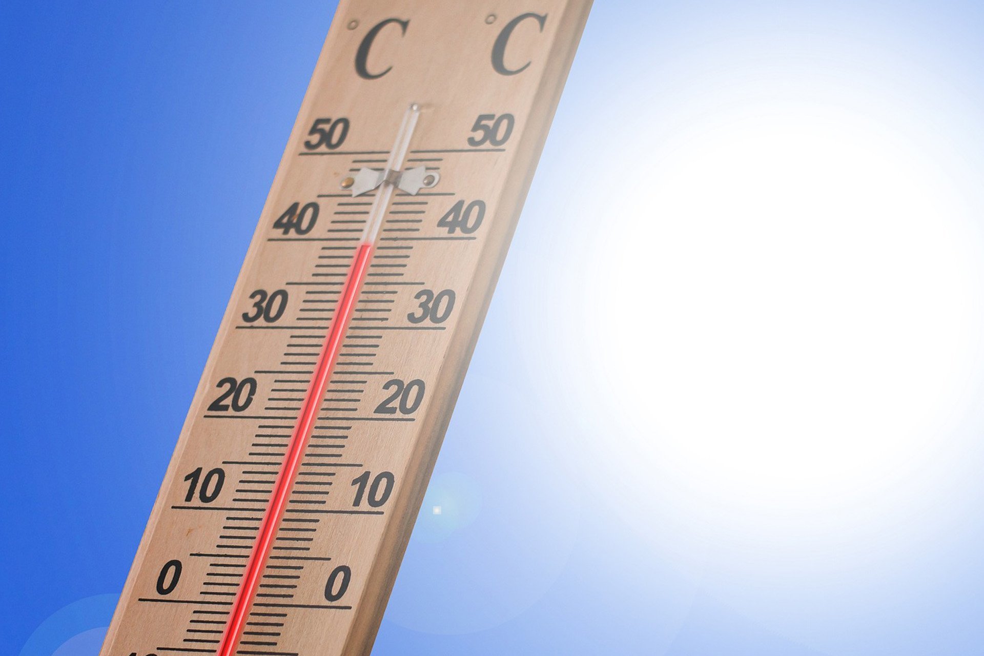 Thermometer Thermometer