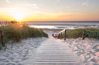 Ein Weg, Dünen und die Nordsee