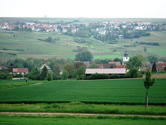 Bild: die beiden Ortschaften Wachenheim und Mölsheim