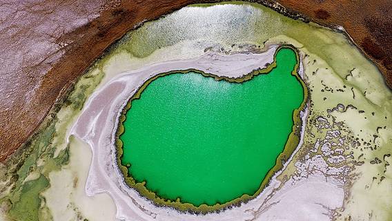 Das Bild zeigt einen grünen See von oben, der aussieht wie eine Niere
