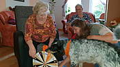 Das Bild zeigt einen Therapiebegleithund zu Besuch bei demenzkranken Senioren.