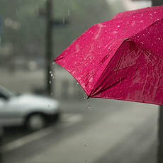 Das Bild zeigt einen Schirm