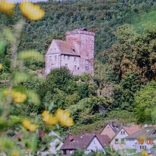 Eine der Burgen von Hirschhorn